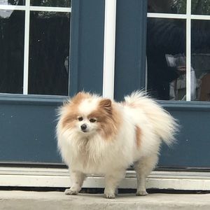 Meet your Posher, Minh phuc